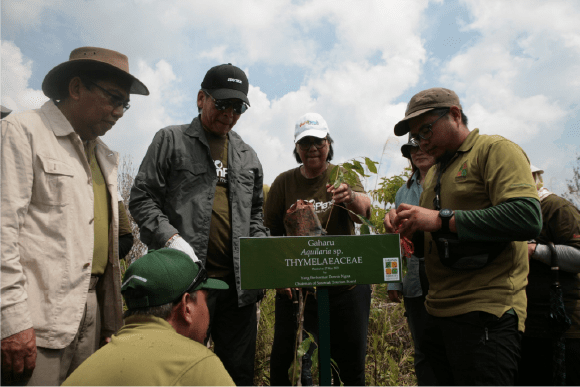 Tree Planting Initiative - Sarawak Responsible Tourism