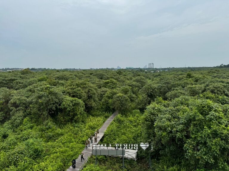 Bukit Lima Nature Reserve Aerial View