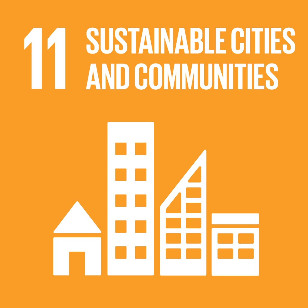 SDG11 Logo