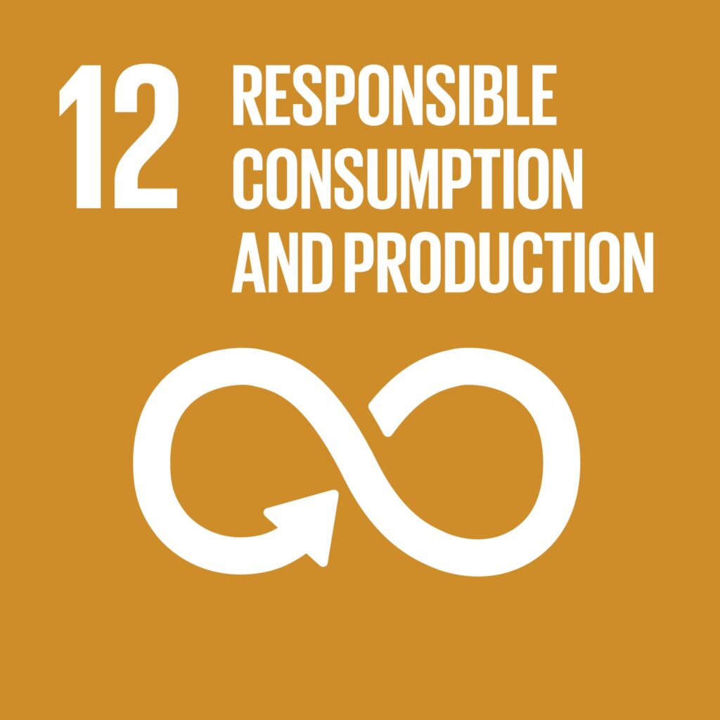 SDG12 Logo