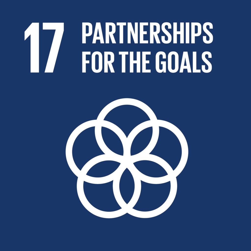 SDG17 Logo